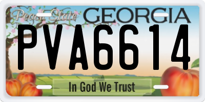 GA license plate PVA6614