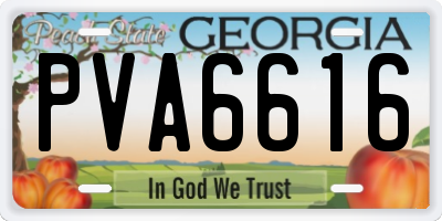 GA license plate PVA6616