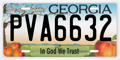 GA license plate PVA6632