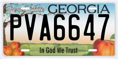 GA license plate PVA6647