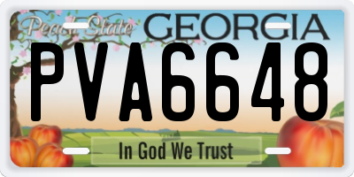 GA license plate PVA6648