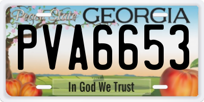GA license plate PVA6653