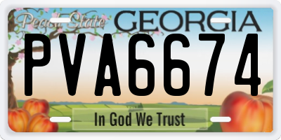 GA license plate PVA6674