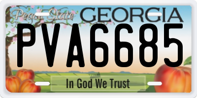 GA license plate PVA6685