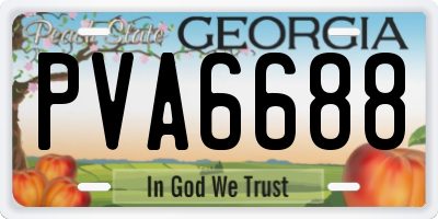 GA license plate PVA6688