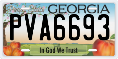GA license plate PVA6693