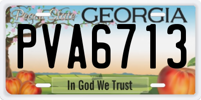 GA license plate PVA6713