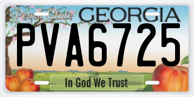 GA license plate PVA6725
