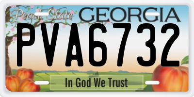 GA license plate PVA6732