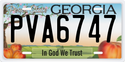 GA license plate PVA6747