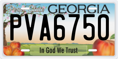 GA license plate PVA6750
