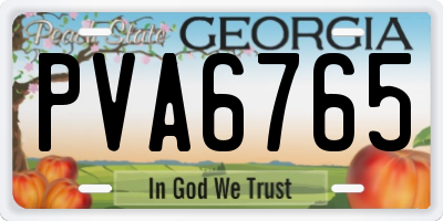 GA license plate PVA6765