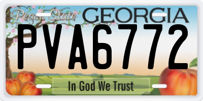 GA license plate PVA6772
