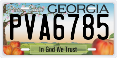 GA license plate PVA6785