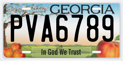 GA license plate PVA6789