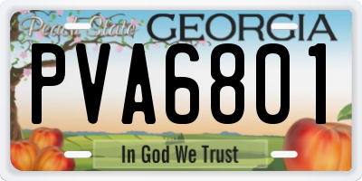 GA license plate PVA6801