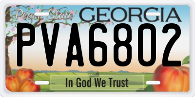GA license plate PVA6802