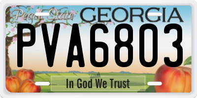 GA license plate PVA6803
