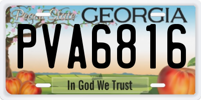 GA license plate PVA6816