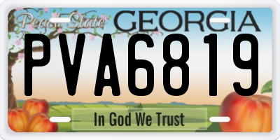 GA license plate PVA6819