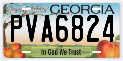 GA license plate PVA6824