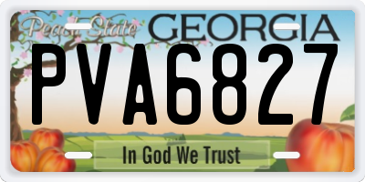 GA license plate PVA6827