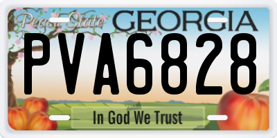 GA license plate PVA6828