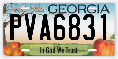 GA license plate PVA6831