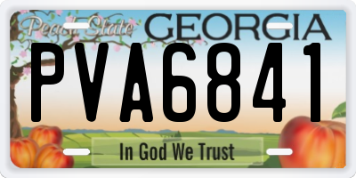 GA license plate PVA6841