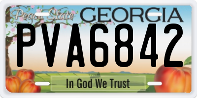 GA license plate PVA6842