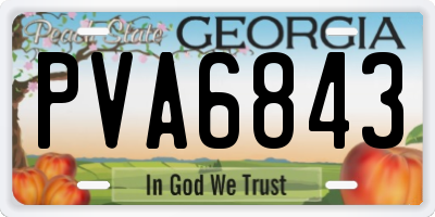 GA license plate PVA6843