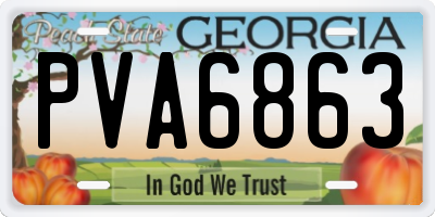 GA license plate PVA6863