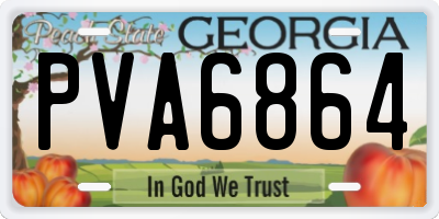 GA license plate PVA6864