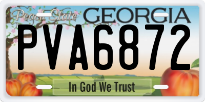 GA license plate PVA6872