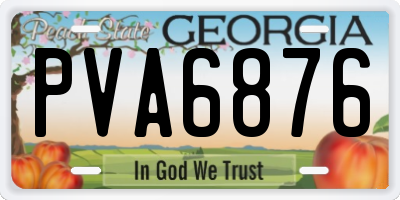GA license plate PVA6876