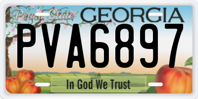 GA license plate PVA6897