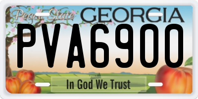 GA license plate PVA6900