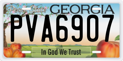 GA license plate PVA6907