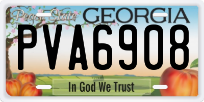 GA license plate PVA6908