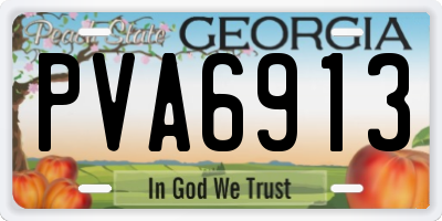 GA license plate PVA6913