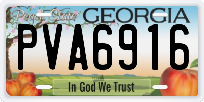 GA license plate PVA6916