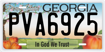 GA license plate PVA6925