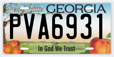 GA license plate PVA6931