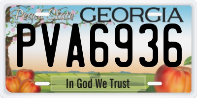 GA license plate PVA6936