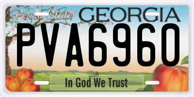 GA license plate PVA6960