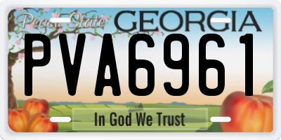 GA license plate PVA6961