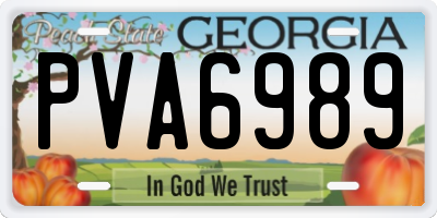 GA license plate PVA6989