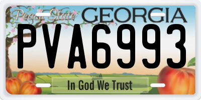 GA license plate PVA6993