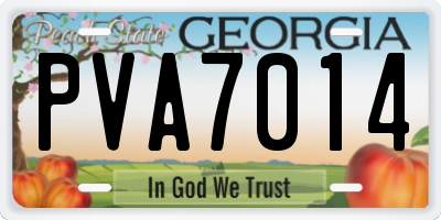 GA license plate PVA7014