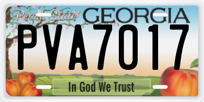 GA license plate PVA7017
